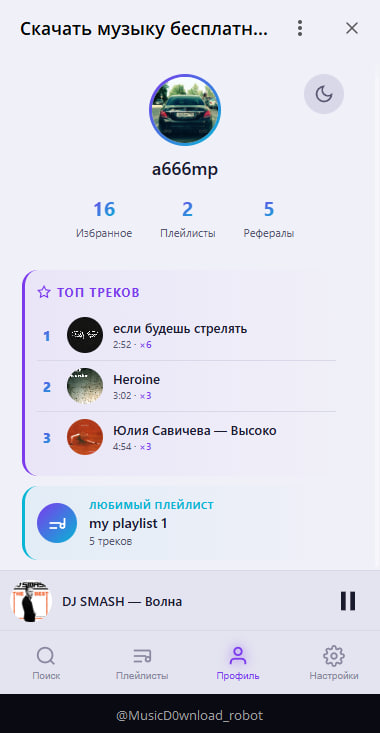 Профиль пользователя музыкального бота PULSE — статистика и настройки темы
